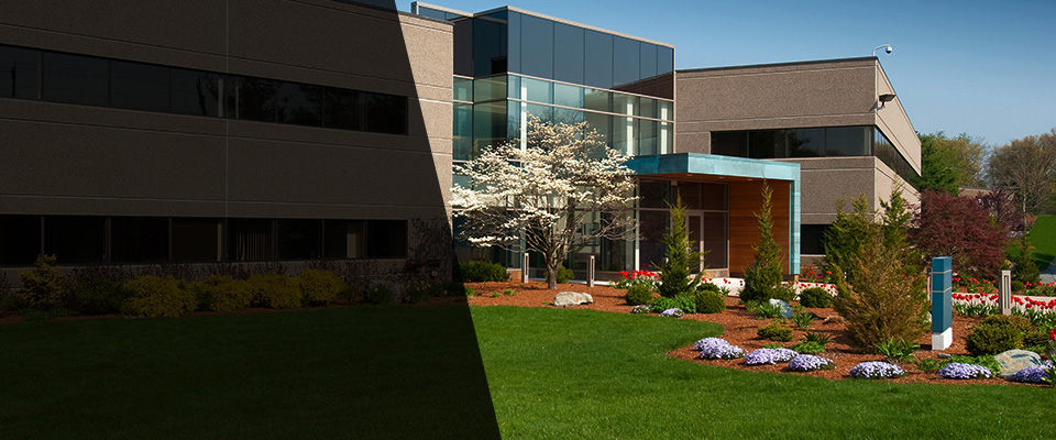 Pompano Beach Landscapers