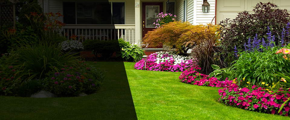 Pompano Beach Landscapers