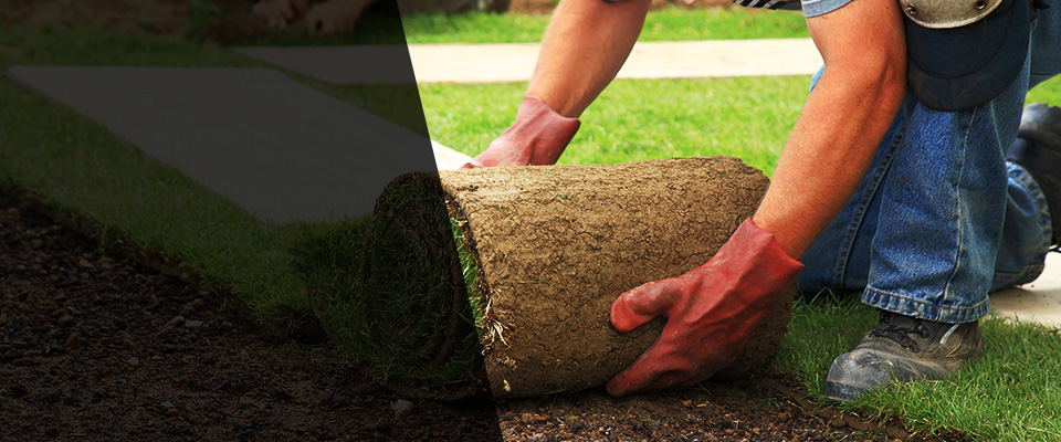 Pompano Beach Landscapers